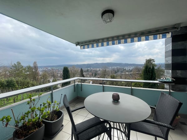 Eine Ruheoase mit Blick über Winterthur 7