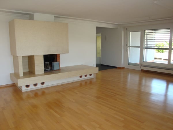 Attikawohnung mit grosser Dachterrasse und traumhafter Weitsicht 3