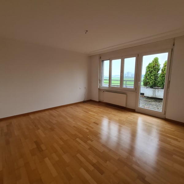 Attikawohnung mit grosser Dachterrasse und traumhafter Weitsicht 10