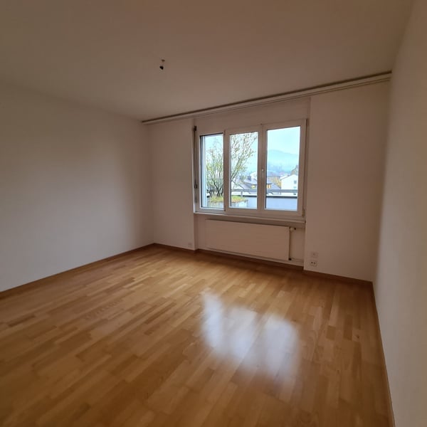 Attikawohnung mit grosser Dachterrasse und traumhafter Weitsicht 11