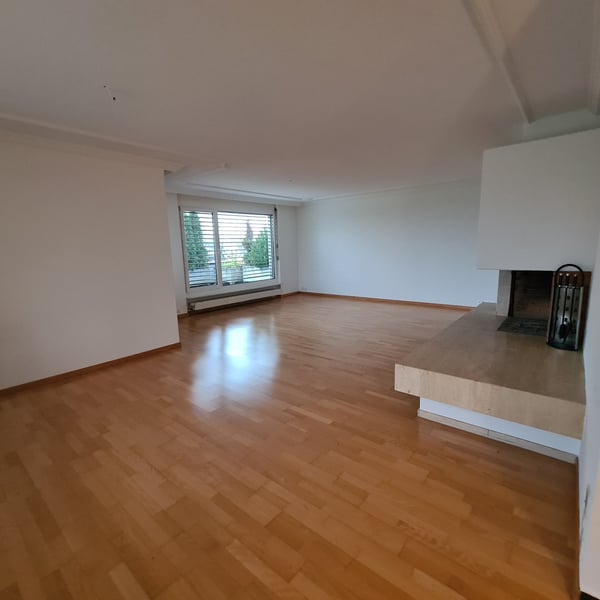 Attikawohnung mit grosser Dachterrasse und traumhafter Weitsicht 2