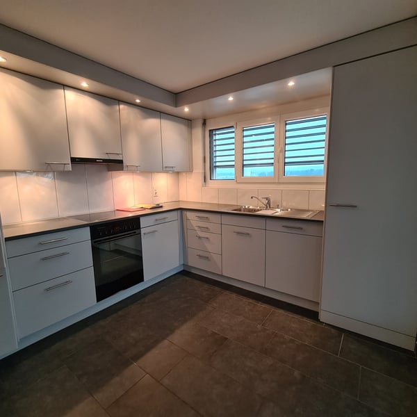 Attikawohnung mit grosser Dachterrasse und traumhafter Weitsicht 4