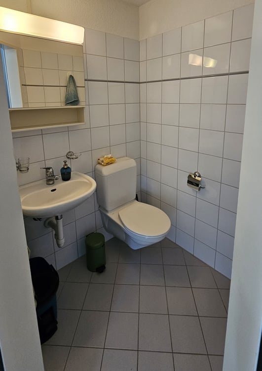 Wohnen am Dorfrand / 3.5 Zimmer Maisonette mit offenem Dachstock 5