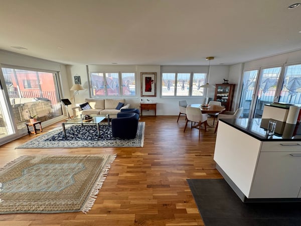 Moderne Attikawohnung mit grosser Terrasse 9