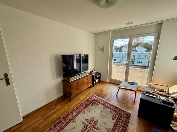 Moderne Attikawohnung mit grosser Terrasse 7