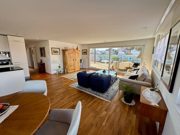 Moderne Attikawohnung mit grosser Terrasse 11