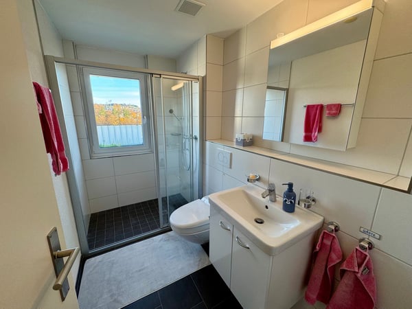 Moderne Attikawohnung mit grosser Terrasse 8