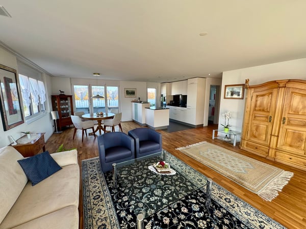 Moderne Attikawohnung mit grosser Terrasse 12