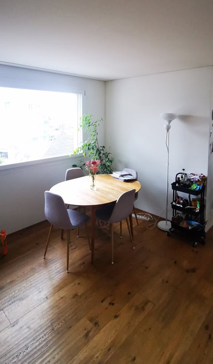 Schöne und helle Terassenwohnung 2