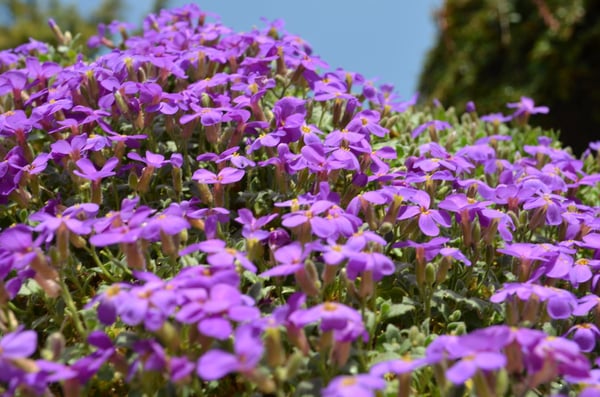 Grandiose Garten-Wohnung in Dänikon… 1
