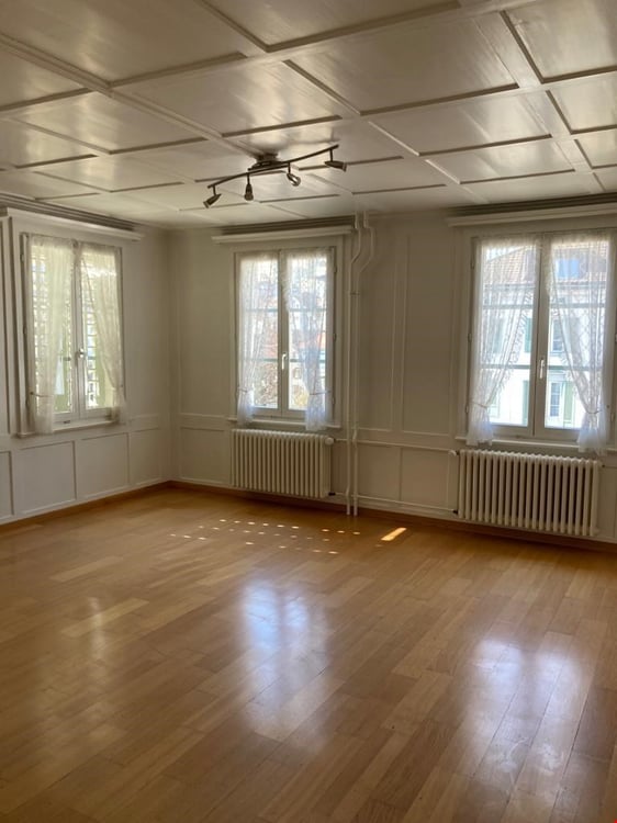 heimelige und sehr helle 3-Zimmerwohnung 3