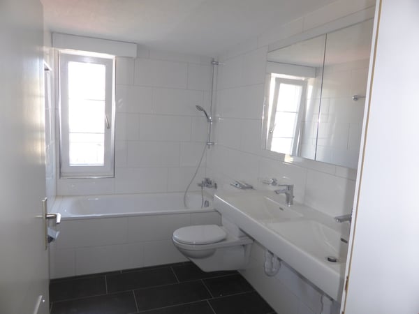 1 ½-Zimmerwohnung 2