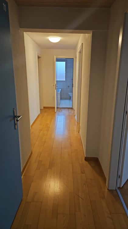 Freundliche, lichtdurchflutete 1-Zimmer-Wohnung in Biel 6