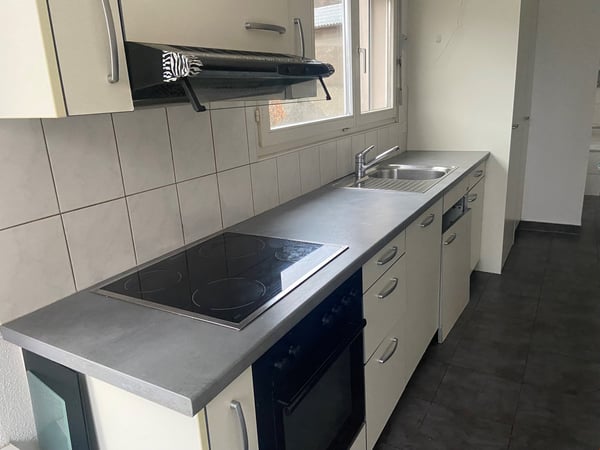 Wunderschöne 1 Zimmerwohnung mit einem riesen Balkon zu vermieten 18