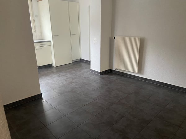 Wunderschöne 1 Zimmerwohnung mit einem riesen Balkon zu vermieten 14