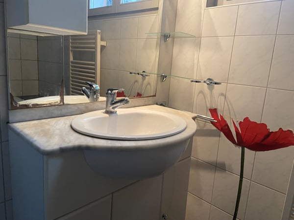 Wunderschöne 1 Zimmerwohnung mit einem riesen Balkon zu vermieten 19