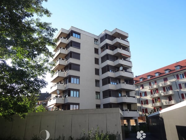 Freundliche, unmöblierte 1.5 Zimmerwohnung zu vermieten 1
