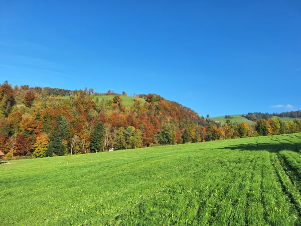 Ihr neues Zuhause mit hauseigener Quelle wartet auf Sie! 3