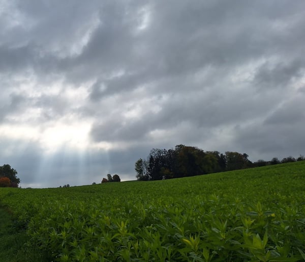 Ihr neues Zuhause mit Weitsicht 1