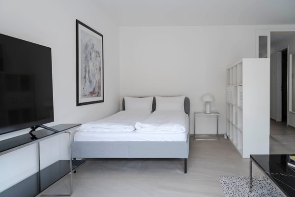 Furnished and spacious 2.5-bedroom apartment with weekly cleaning service for rent 7