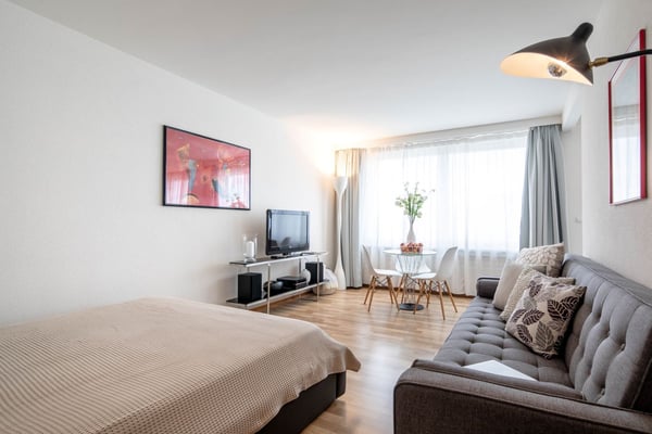 Furnished Studio Apartment in Zurich Wiedikon – Cleaning Service 6