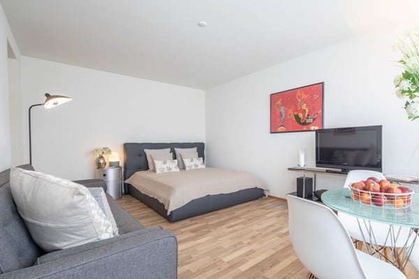 Furnished Studio Apartment in Zurich Wiedikon – Cleaning Service 1