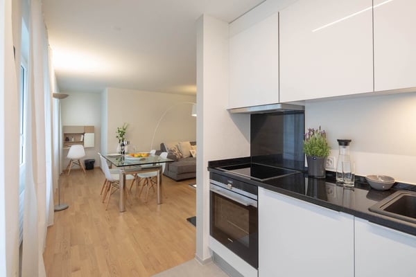 Modern Furnished 2-Room Apartment with Balcony in Zürich Wiedikon 4
