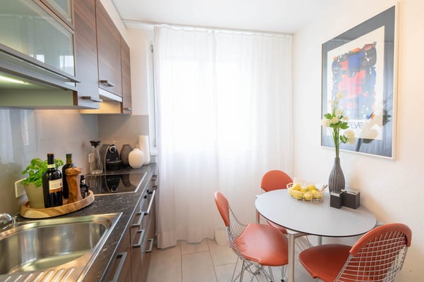 Modern  Furnished 2-Room Apartment with Balcony in Zürich Wiedikon 3