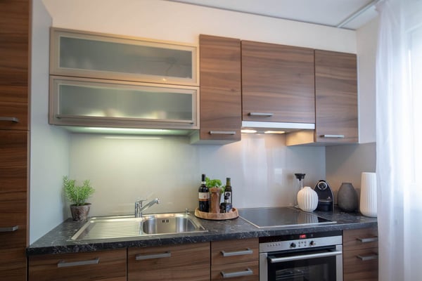 Modern furnished 2-Room Apartment in Zürich Wiedikon 2