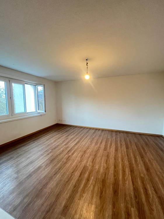 Gemütliche 1.5 Zimmerwohnung am Waldrand von Baden 2