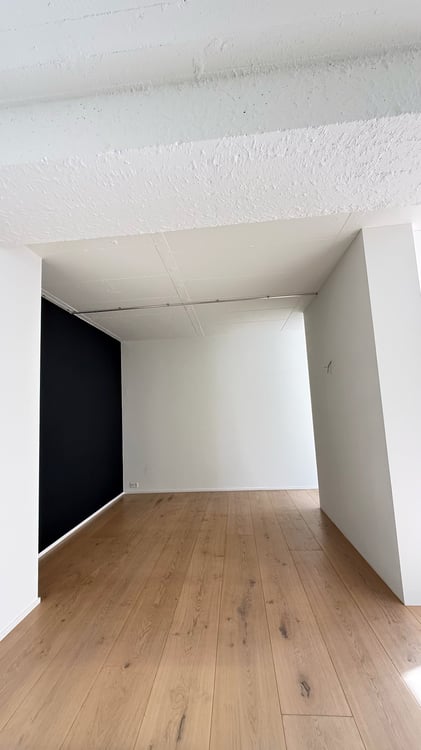 Grosszügiges Loft-Apartment an der Badenerstrasse in Zürich-Altstetten 9