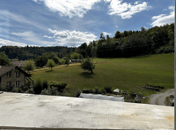 Attikawohnung mit 120 m² Terrasse und Blick ins Grüne und übers Suhrental 6