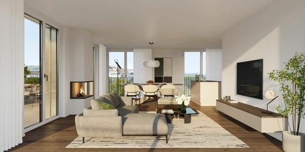 Penthouse Living zwischen Aarau und Zofingen 4