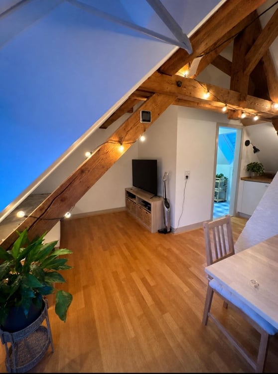 1.5 Zimmerwohnung in Winterthur 8