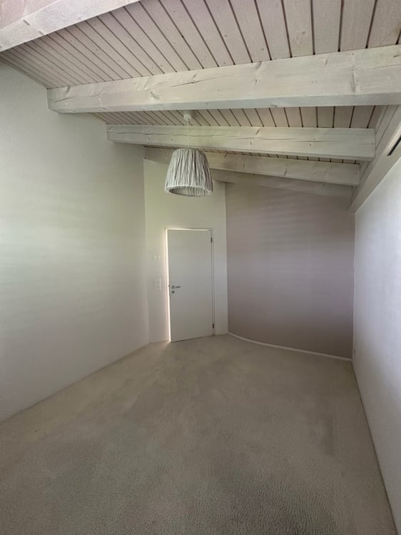 Modernes Einfamilienhaus mit grossem Garten und Balkon! 11