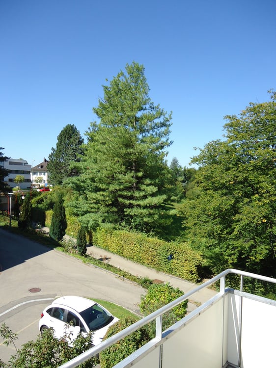 hübsche 1-Zi-Dachwohnung in Zollikerberg (befristet bis 10.09.2026!) 8