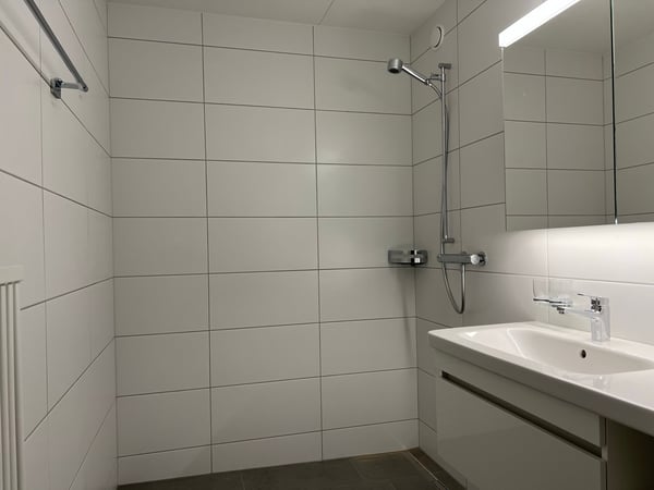 Helle 4.5-Zimmer-Wohnung mit Seesicht 4
