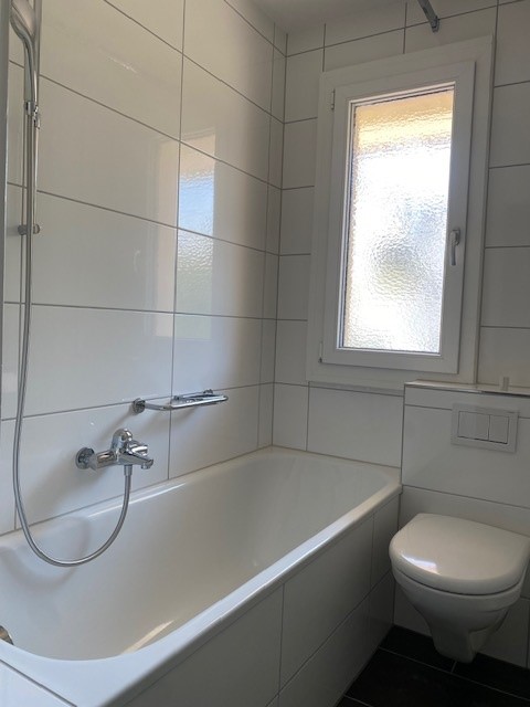 Gemütliche 2-Zimmer-Wohnung mit Balkon in Zürich-Albisrieden 6