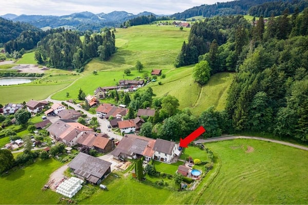 Paradies für Mensch, Hund und Katze 1