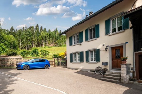 Paradies für Mensch, Hund und Katze 3