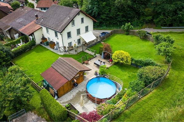Paradies für Mensch, Hund und Katze 2