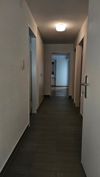 Charmante 1-Zimmer-Wohnung mit Balkon in Bettlach 6
