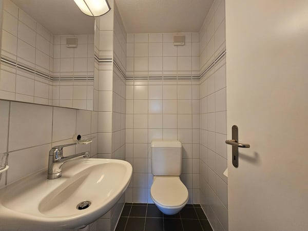 Grosszügige und helle 4.5 ZWG per sofort zu vermieten 12