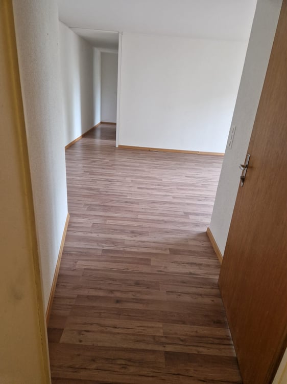 Teilsanierte Wohnung für Paare oder Kleinfamilie! 10
