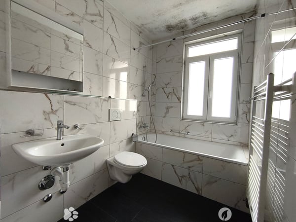 Gemütliche 3-Zimmer-Wohnung im Erdgeschoss in Biel – ab sofort verfügbar! 4