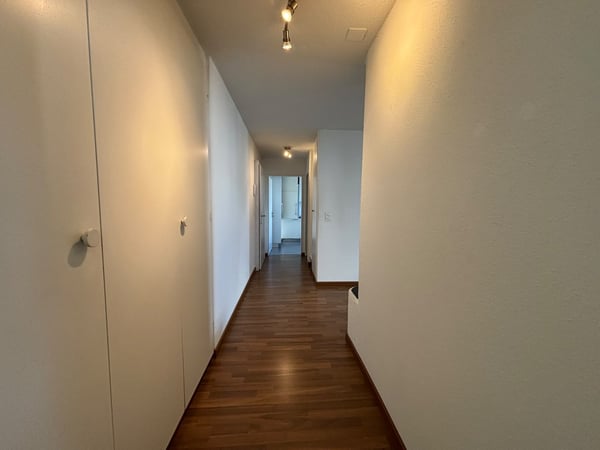 Charmante 2.5-Zimmer-Wohnung mit grosszügiger Terrasse! 8