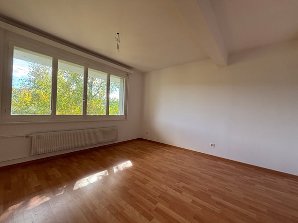 Charmant appartement de 2 pièces à Le Locle, disponible immédiatement 6