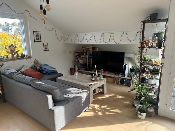 Stilvolle 1.5-Zimmer-Wohnung in Schlieren mit Balkon 2