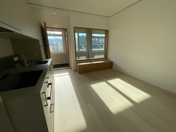 Moderne 1-Zimmer-Loft mit exklusivem Balkon im Seefeld 4