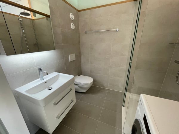 Moderne 1-Zimmer-Loft mit exklusivem Balkon im Seefeld 6